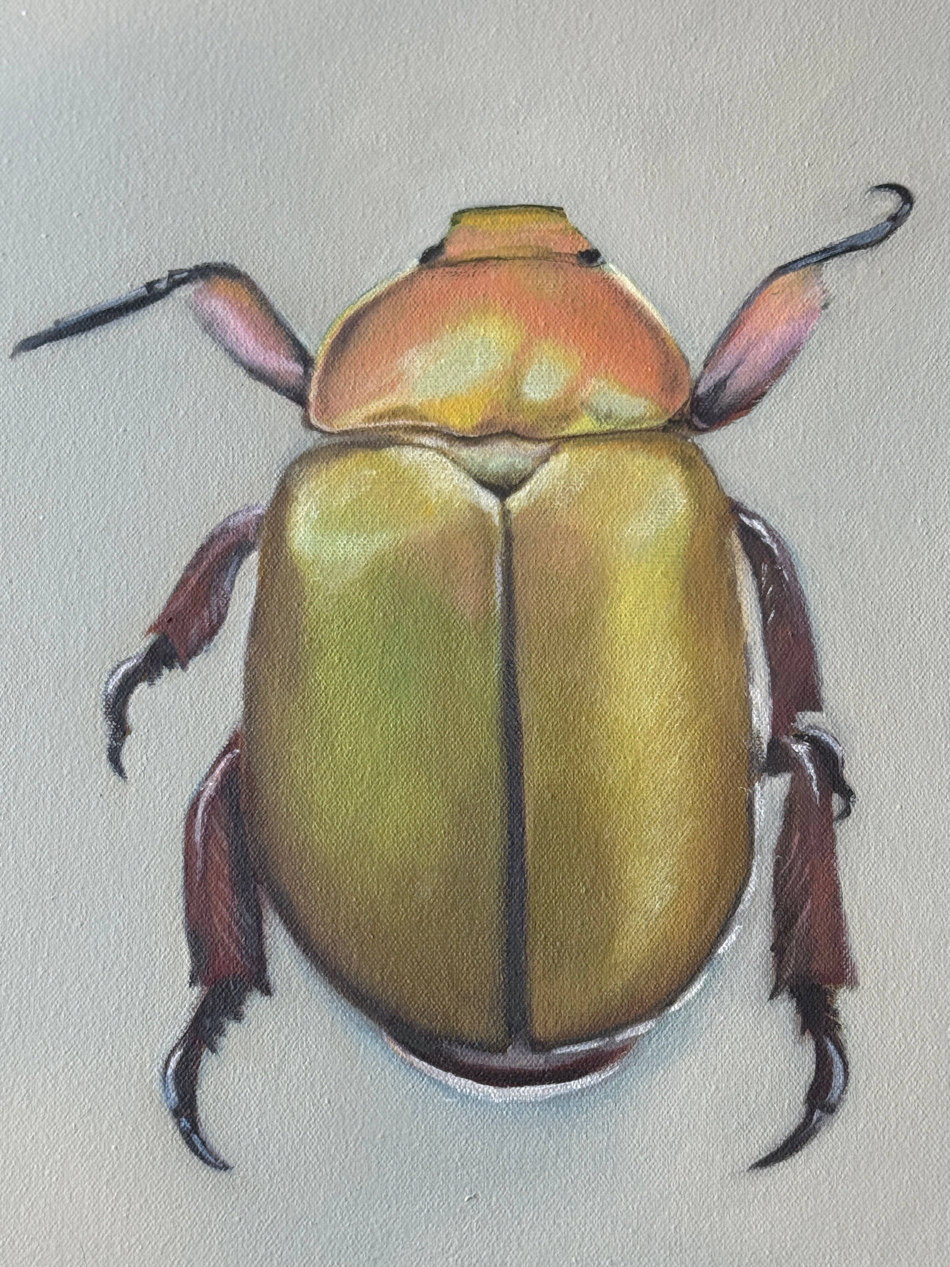 original art created in Adelaide oil painting of a beatle