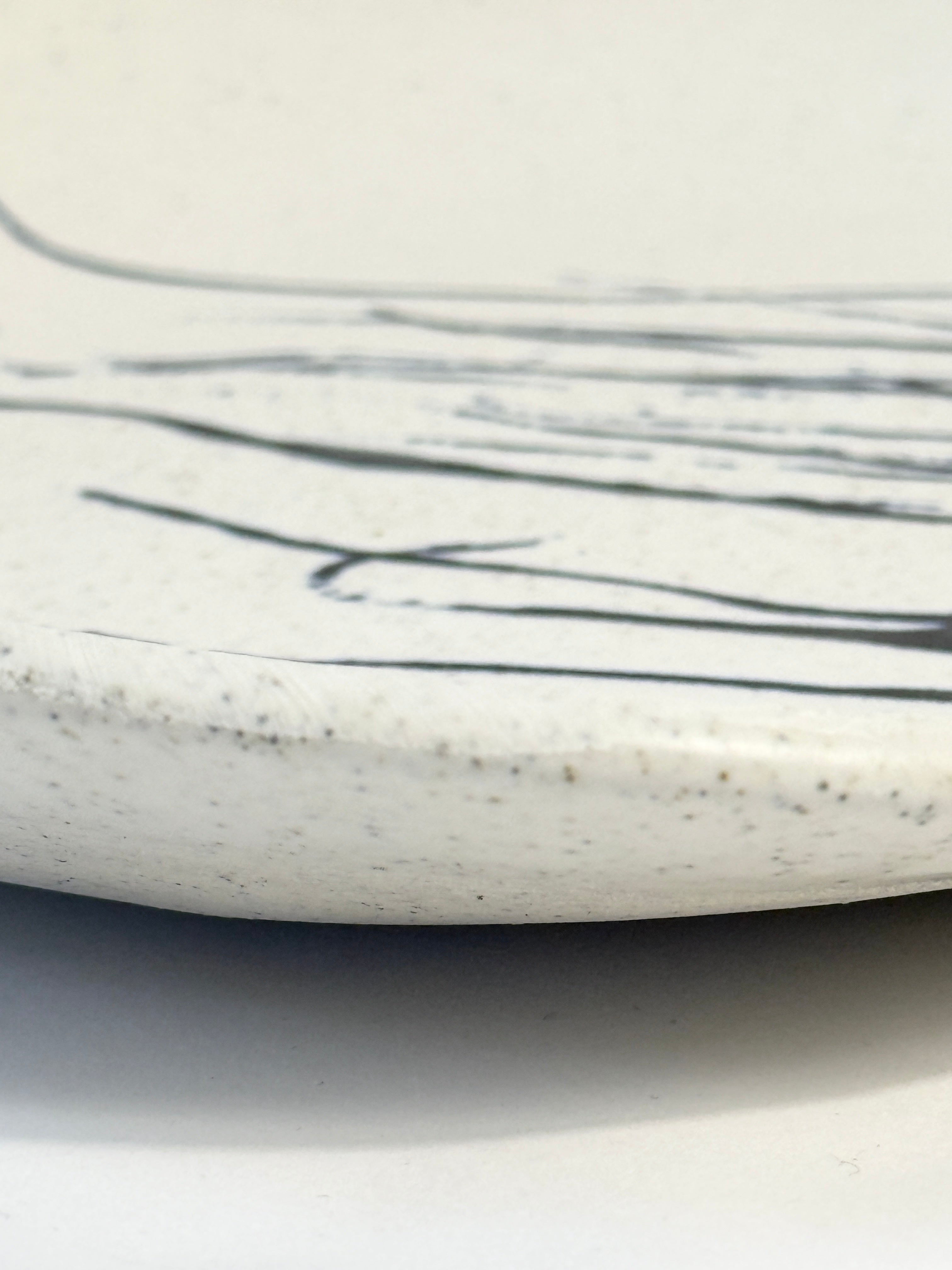 Close-up of a speckled off-white ceramic plate or dish with irregular dark glaze lines.