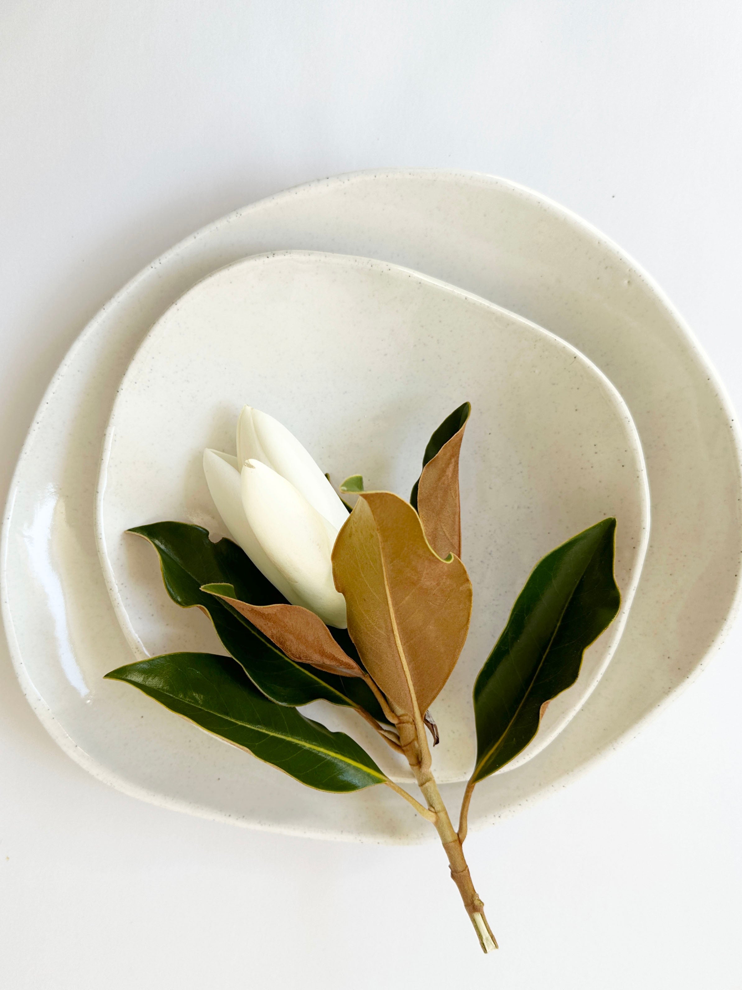 White shallow bowl set